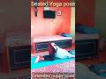 Seated yoga poses  shivapokharel viral trending foryou  yoga nepal youtube workout shorts