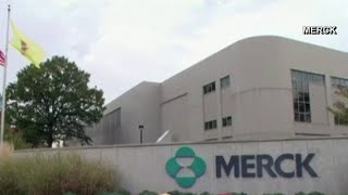 Local 4 News at 4 p.m. -- Nov. 26, 2021
