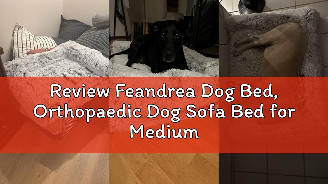 Review Feandrea Dog Bed, Orthopaedic Dog Sofa Bed for Medium and Large Dogs, Waterproof Ped Bed with