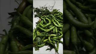 Kitchen Tip 2#mirchi #tips #kitchen #shortsfeed#ytshorts #viral #kitchenhacks