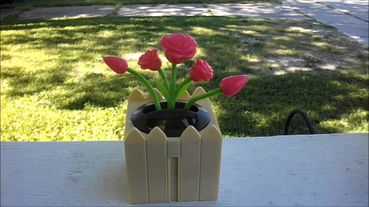 Solar Dancing Flowers YouTube