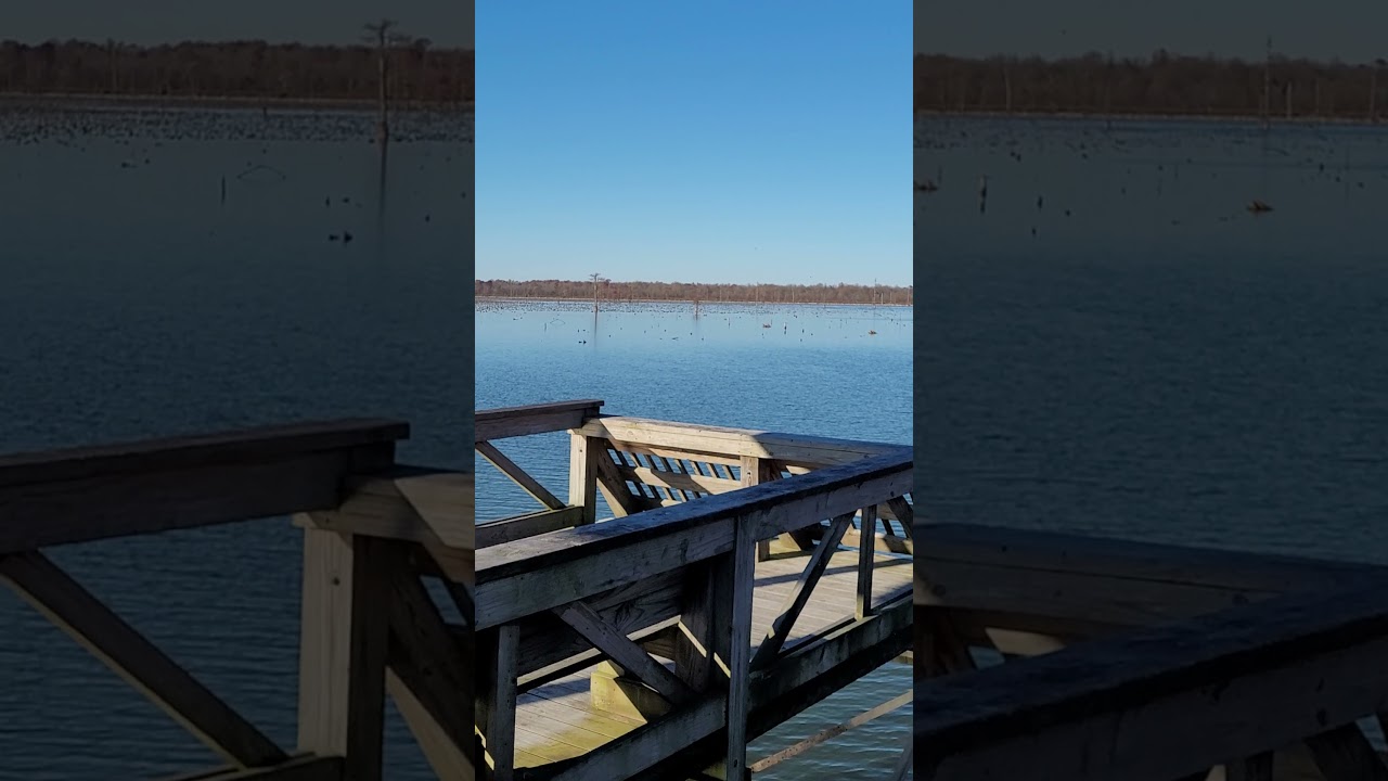 Lake Ashbaugh YouTube