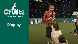 Scruffts Semi Finals Part 1 | ​Crufts 2023