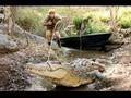 Steve irwin  crocodile hunter  tribute rip