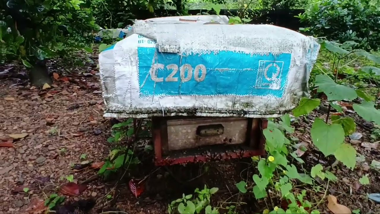 ANH  HƯU NUÔI ONG NHIỀU QUÁ, BỊ BỎ ĐÓI, HÔM NAY BẮT ĐẦU ĐỔ ĐƯỜNG,MỜI CÁC BẠN THAM KHẢO