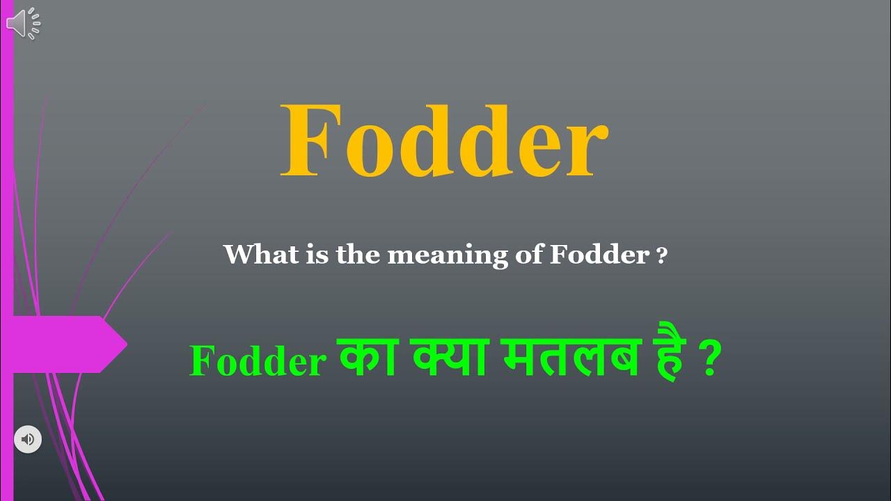 Fodder meaning in Hindi Fodder ka kya matlab hota hai daily use