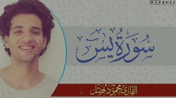 سورة يس _ القارئ محمود فضل