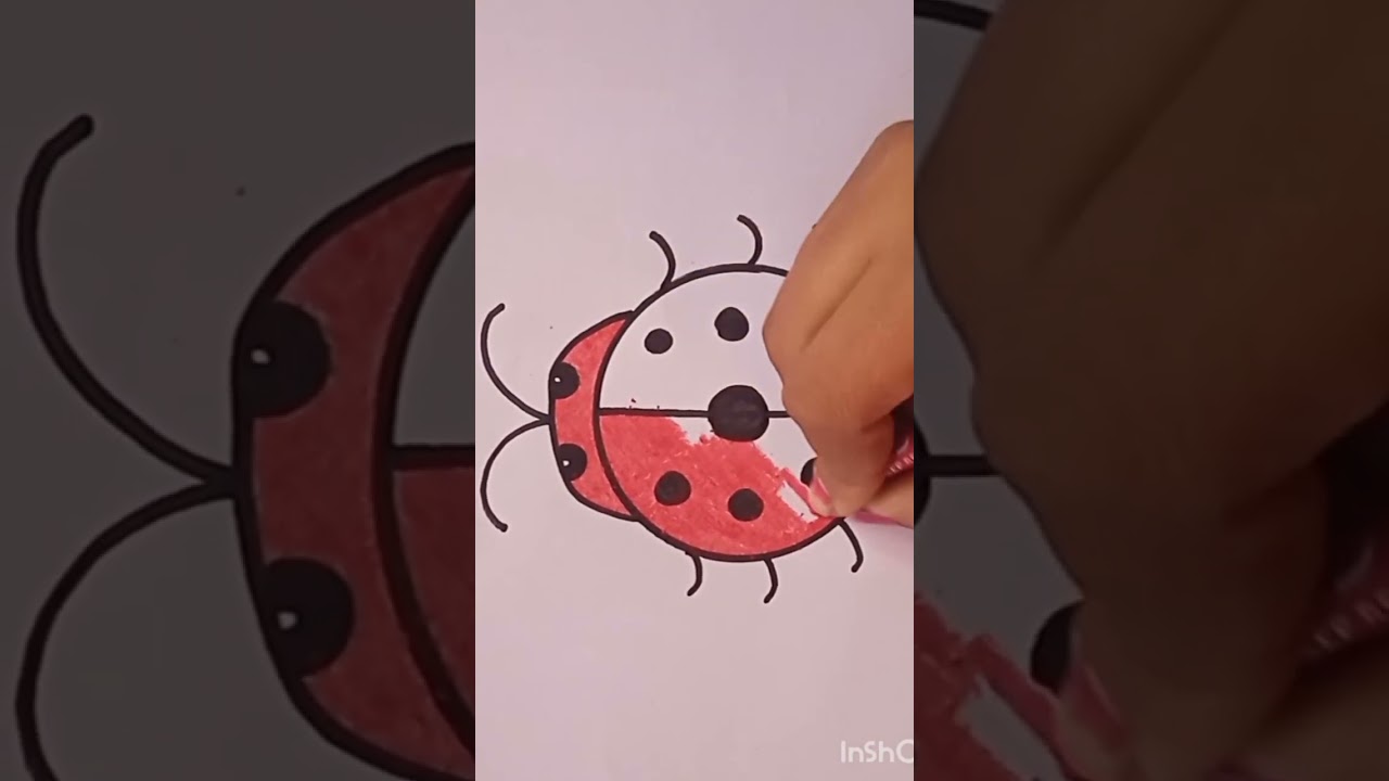 easy bug drawing