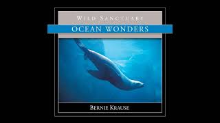 Bernie Krause - Ocean Wonders (1992)