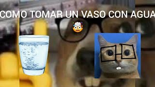 COMO TOMAR UN VASO CON AGUA 🤯🤓☝