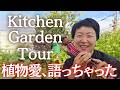【キッチンガーデンWeek 8】秋へ向かう庭をツアー｜虫も雑草も、すべてがつながる庭づくり