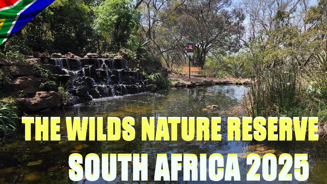 🇿🇦Природный заповедник Уайлдс, Хоутон-Эстейтс, Йоханнесбург, Южная Африка