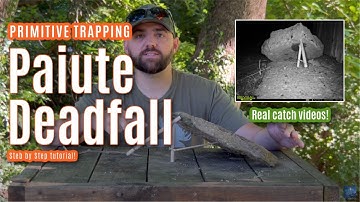 How to make a primitive Paiute Deadfall trap! Videos of trap in action! Step by step tutorial