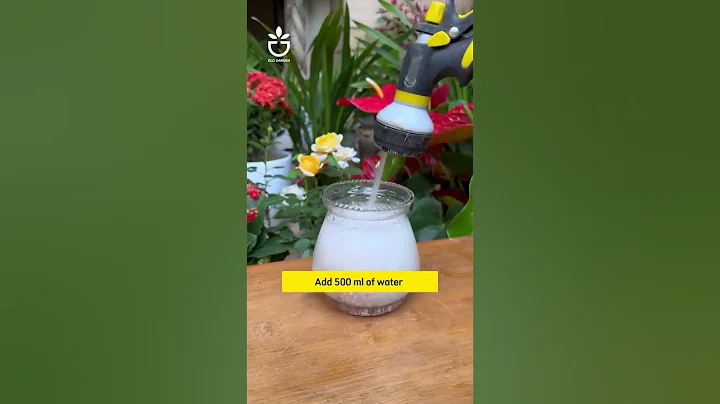 how to make fertilizer with egg shells