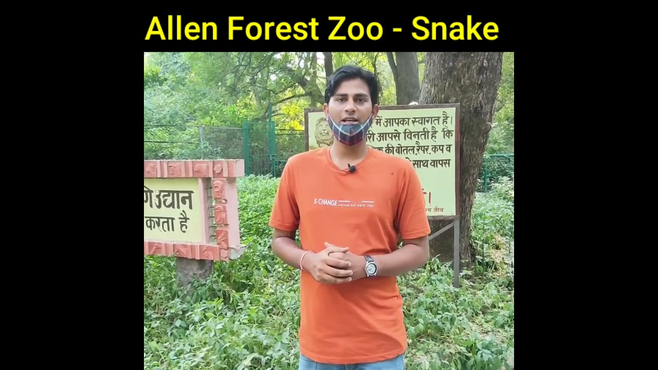 Allen Forest Zoo 🔥 Snake 🐍 Largest Zoo in Asia Chidiyaghar YouTube