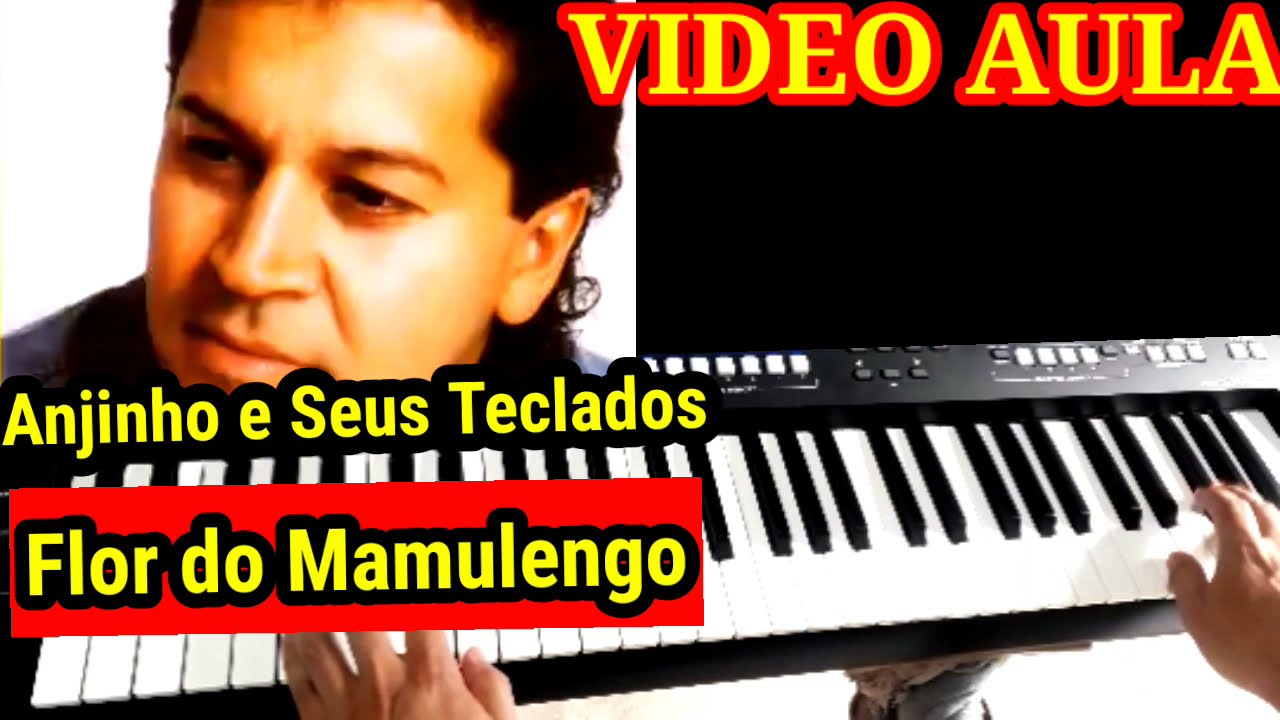 Video Aula Flor do Mamulengo Anjinho e Seus Teclados