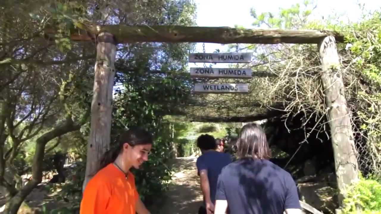 What2doin · Lloc de Menorca · Menorca Activities