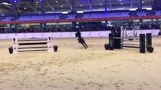 Sunny Vd Hunters 135 Csi3 Sentower Park