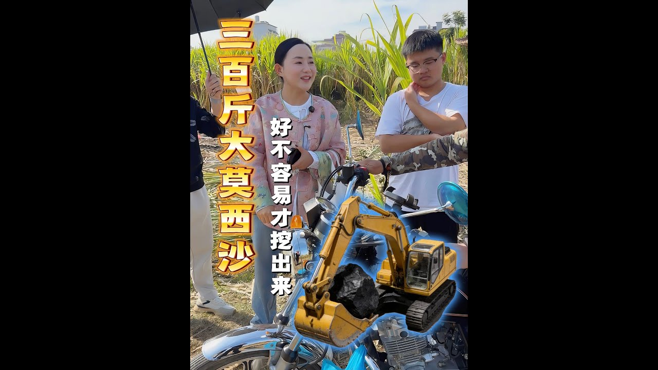 三百斤大莫西沙，好不容易才挖出來...