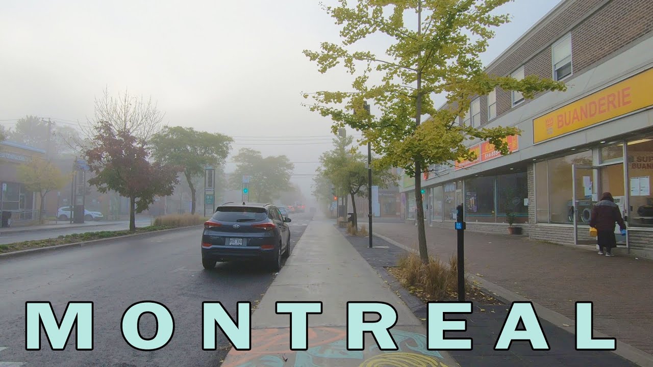 Montreal Foggy Morning Walk - October 2021