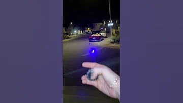 The Tree Almost Caught Fire 