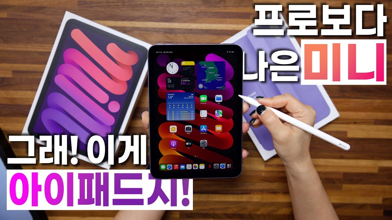 아이패드 미니 2021 바뀐점은? 살지 말지 정해드림 (아이패드 미니6 vs 아이패드 미니5)