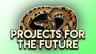 Famous Projects For The Future - Puzzle Net Worth