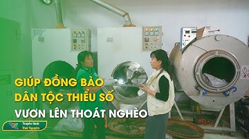 Giúp đồng bào dân tộc thiểu số vươn lên thoát nghèo – Phóng sự chuyên đề | Thái Nguyên TV