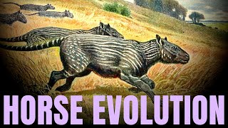 The Evolution of the Horse ~ with PROFESSOR JOHN HUTCHINSON