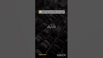 مقتطفات من سوره الإسراء الآية 19.                #like #share #subscribe #القرآن_الكريم