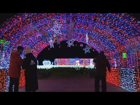   겨울밤 펼쳐진 빛의 왕국 보성차밭 빛축제 연합뉴스TV YonhapnewsTV