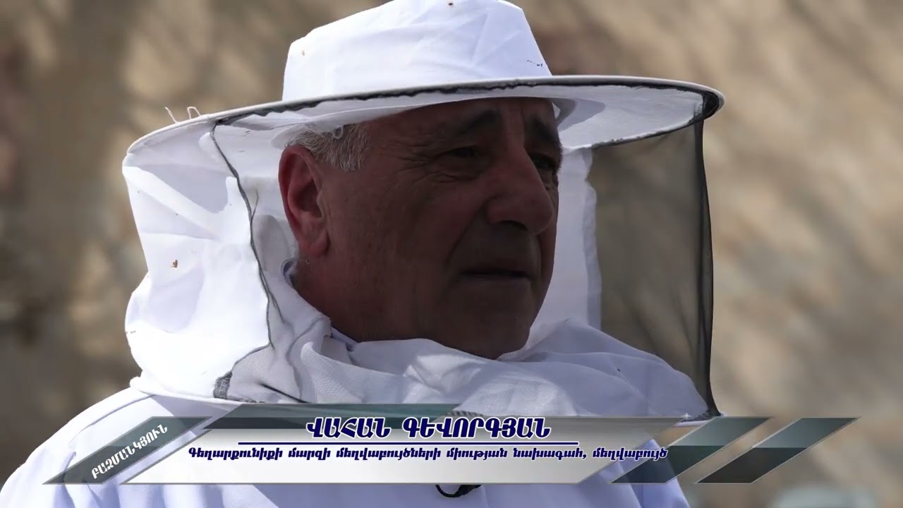 Բազմանկյուն.  Մեղվաբուծություն հաղ  12