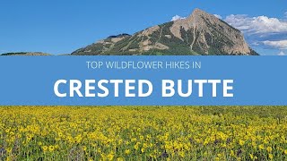 Top Wildflower Hikes in Crested Butte