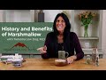 History and Benefits of Marshmallow with Tieraona Low Dog, M.D.