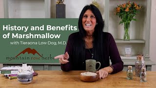 History and Benefits of Marshmallow with Tieraona Low Dog, M.D.