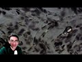 End of video