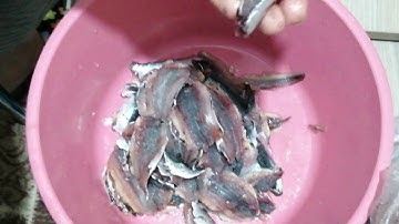 Sardalya kılçığı ve filetosu nasıl çıkarılır.