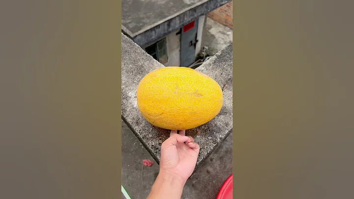 Experiment: Will watermelons and cantaloupes explode when they roll down a tall building? 🍈#shorts