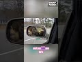 Calm Confidence: Avoiding Road Confrontation with Footage #shorts