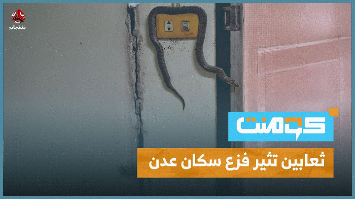 أول مرة نشوفها.. ثعابين تثير رعب سكان عدن | كومنت