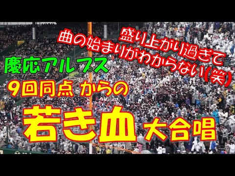 【春選抜応援】盛り上がり過ぎて曲の始めがわからない（笑） 9回同点劇からの慶応アルプス応援団「若き血」大合唱  2023選抜甲子園   慶応vs仙台育英