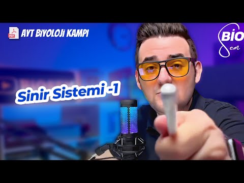 Sinir Sistemi-1 | Ayt Biyoloji Konu Anlatımı 11. Sınıf | 2024