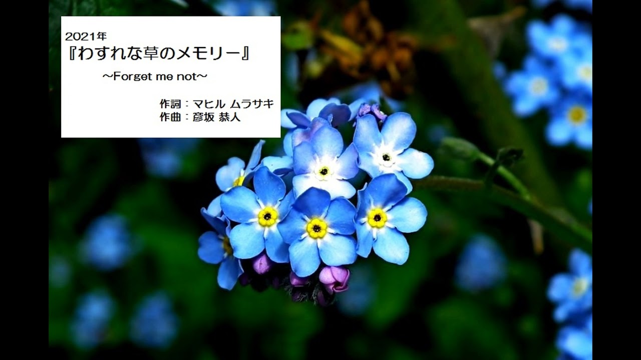 Promnade プロムナード 音楽と時事放談 Promnade プロムナード 音楽と時事放談