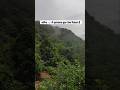 बारिश 🌧️ में झारखण्ड कुछ ऐसा दिखता हैं |jharkhand in Monsoon |🎯muta waterfall #waterfall #shorts