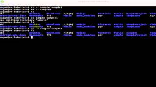 How to copy directories in Unix