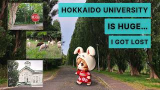 【Sapporo Travel】I Got Lost at Hokkaido University… Then Found an Amazing View 40 Minutes Later
