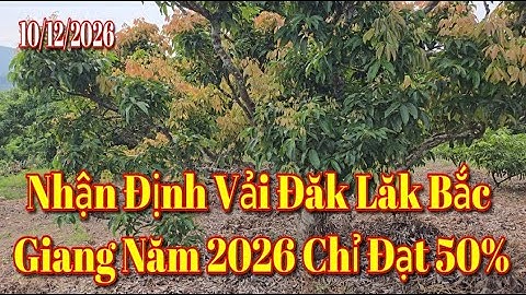 Nhận Định Vải Đăk Lăk Bắc Giang Năm 2026 Chỉ Đạt 50%