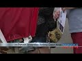 Wisconsin voters begin casting ballots at the polls in chaotic Democratic governor's race