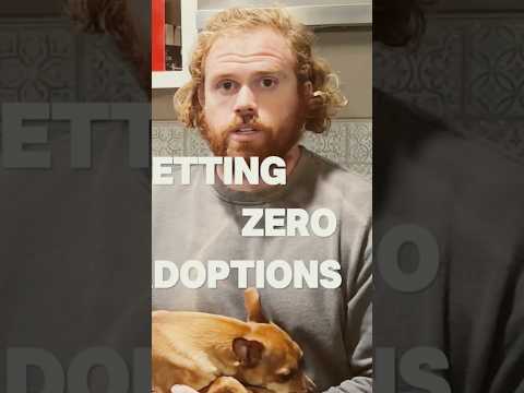 Texas Dog rescued are in BIG trouble
