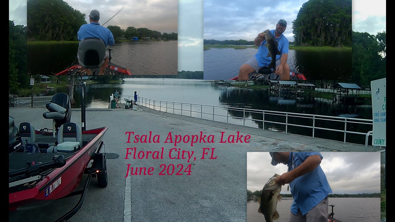 Tsala Apopka Lake Floral City, Florida Bass Fishing YouTube